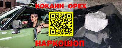 гидра Малгобек